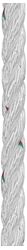 Picture of Samson 603 032 015 083 Pro-Set-3 1/2" x 150' Nylon Anchor Line White with Tracers