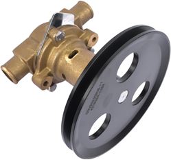 Picture of Sherwood Pump G21 Raw Water Cooling Pump for Pleasurecraft Marine Engines