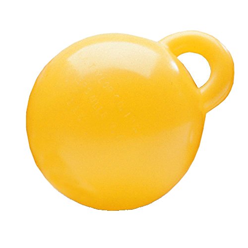 Picture of Taylor 2020108350 Ring Buoy 20-Inch White Foam Life Ring