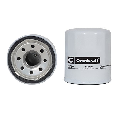 Picture of OMC 5035695 Marine Outboard Fuel Filter Cartridge for Johnson Evinrude 200-225 HP