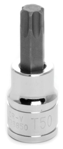 Performance Tool W38850 Wilmar Corp. /  3/8'' Dr Star Bit Socket T-50