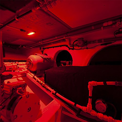 Lumitec 101148 Lumitec Nevis2 High Intensity Engine Room/utility Light