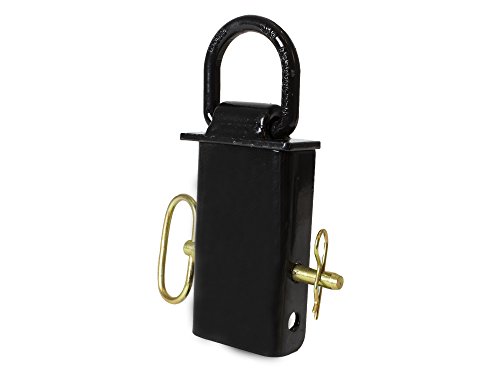 Buyers B38SP Stake Pocket D-Ring Tie Down with Pin, 400 lb Capacity