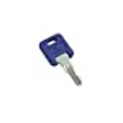 AP 013690388 Global Key Key Code 388