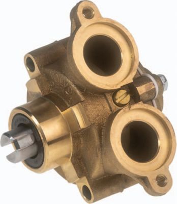 Johnson Pumps 10-32621-13 Flexible Impeller Pump for Volvo Engines