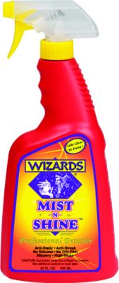 Day-Glo Color WIZA01214 Mist-N-Shine™, 22 oz.