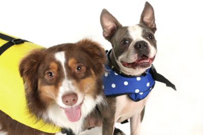 Seachoice DV-L-86340 Seachoice Dog Life Vest - Yellow, Lg