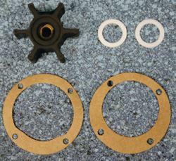 Picture of Raritan Engineering G13W RARITAN G13 IMPELLER W/ TEFLON WASHERS & PUMP GASKETS