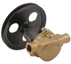 Picture of Sherwood Pump G21 Raw Water Cooling Pump for Pleasurecraft Marine Engines