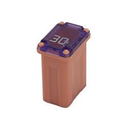 Picture of Bussmann FMM-30 30 Amp Micro Female Time Delay Fuse