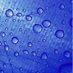 Picture of Performance Tool W6011 Wilmar Corp. /  Tarp (12 x 16)