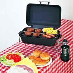 Picture of AP MER42536P 36" RV Propane Pigtail Hose Type 1 QCC to Inverted Flare