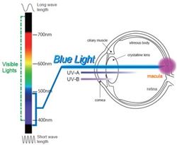 Picture of Marinco 701 Mini Battery Disconnect Switch 275A Marine