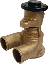 Picture of Johnson Pumps 101361402 F6B-19 Flexible Impeller Pump Bronze
