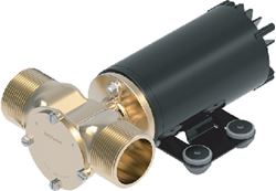 Picture of Johnson Pumps 10-24939-18 12V 30 GPM Talulah HF Ballast Pump