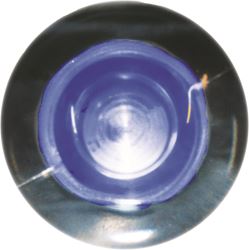 Picture of SeaSense 50030001 Livewell Light - Blue Led Frosted