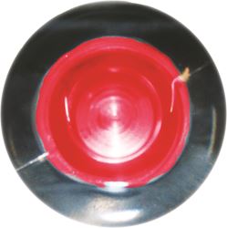 Picture of SeaSense 50030002 Red LED Frosted Livewell Light