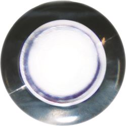 Picture of SeaSense 50030003 White LED Frosted Livewell Light