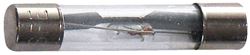 Picture of WirthCo 24602 Agc Glass Fuse-2 Amp