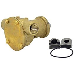 Picture of Johnson Pumps 10-35187-3 Bronze Engine Cooling Pump F35B-9