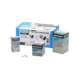 Picture of Quicksilver 8M0222281  100 Hour Maintenance Kit, Yamaha F150/F150A/F150B