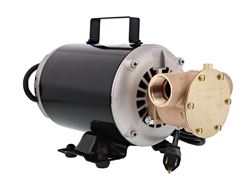 Picture of Jabsco 60500003 23 gpm Pump, 1" NPT Ports, 8-5/8"H x 8-5/8"W x 13"L, Nitrile Impeller