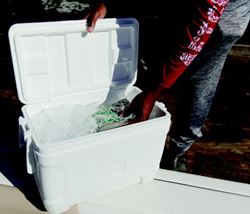 Picture of Igloo Coolers 00050073 Marine Contour Cooler 120 Quart with Fish Ruler