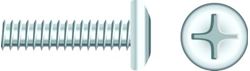 Picture of Seachoice RP-SC829CH  Chrome Plated SS Phillips Machine Screws - Pan Head, 1/4-20 x 2"