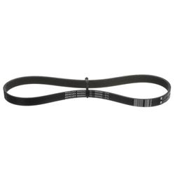 Picture of Quicksilver 8M0232583 Alternator Serpentine Belt for Mercury Verado Outboards