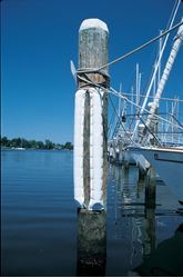 Picture of Taylor Made DB4.30 Perimeter Dock and Post Bumper Large 3ft White