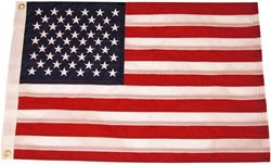 Picture of Taylor Made 8448 Sewn American Flag 30x48 50-Star Marine Nylon