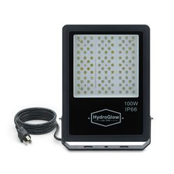 Picture of Hydro Glow FL100W 100W Above-Water LED Floodlight 120V Daylight White