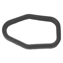 Picture of Sierra 18-2537 Exhaust Leg Seal for Johnson Evinrude Outboard